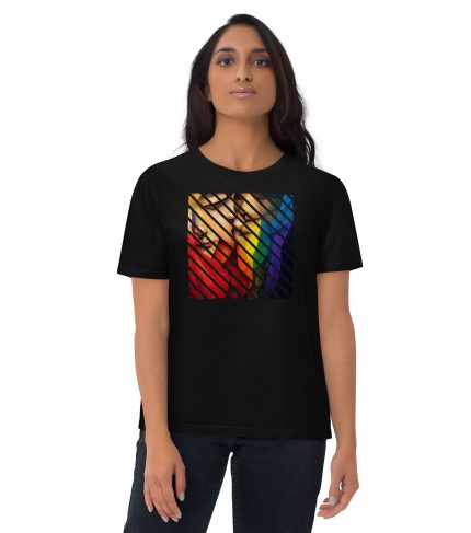unisex-organic-cotton-t-shirt-black-front-63c8569030f31.jpg